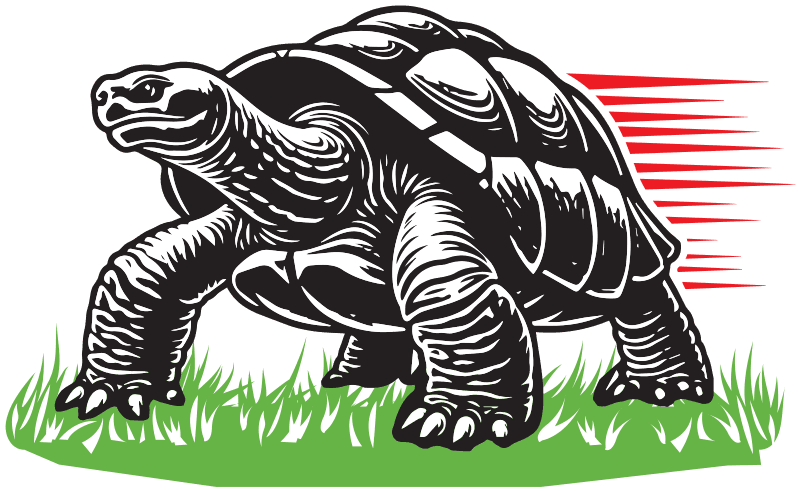 Galapagos Lawncare & Services