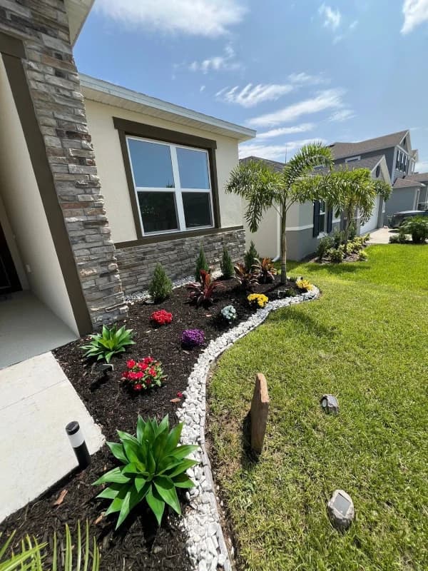 New flower bed with black mulch, tropical plants and a white river-rock border next to a green lawn