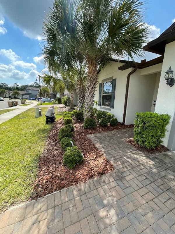 Brown mulch bed with small shrubs along a paver walkway to the front door