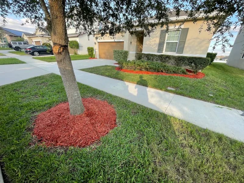 Ring of fresh red mulch around a tree in a front lawn