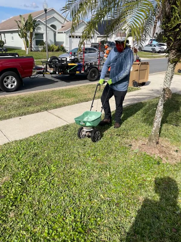 Crew member fertilizing a front lawn by the curb with the work trailer parked behind