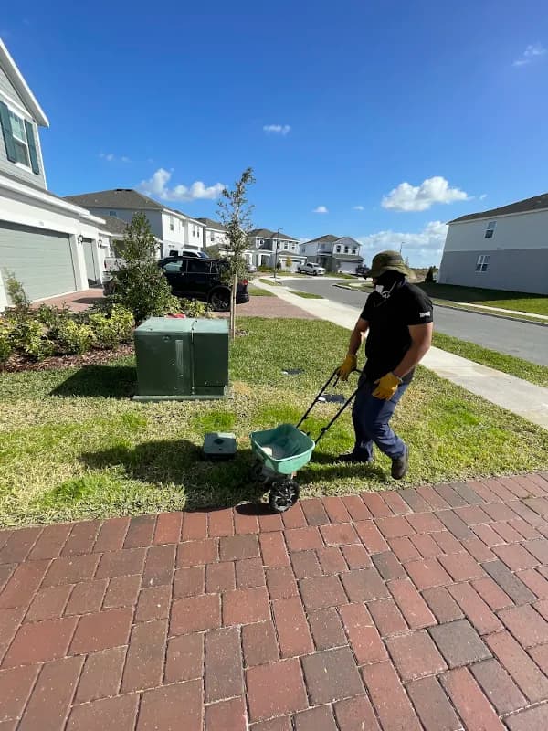 Crew member walking a fertilizer spreader across a front lawn next to a paver walkway