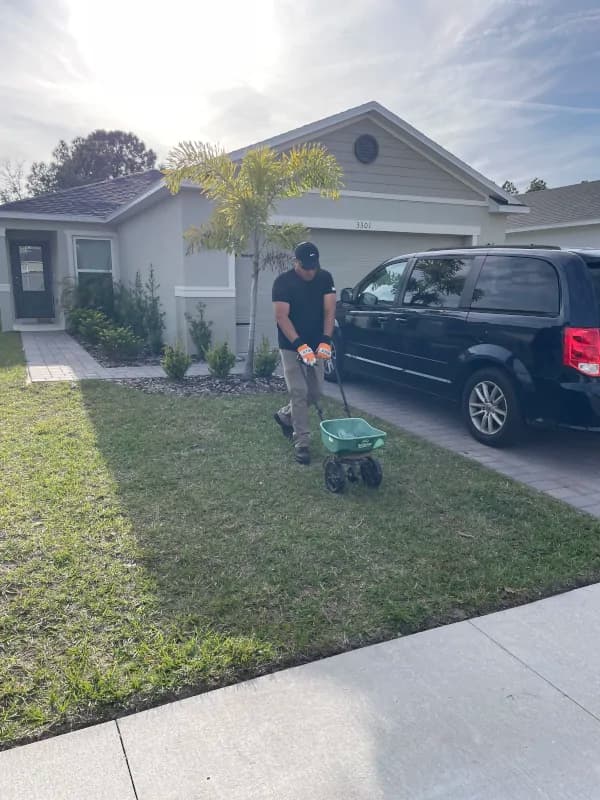 Crew member applying granular fertilizer to a front lawn in the late-afternoon sun