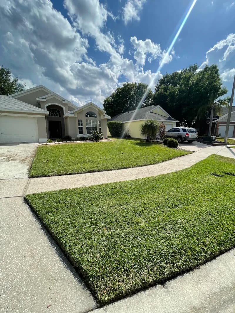 Thick, freshly cut St. Augustine lawn along a curved sidewalk in front of a single-story home