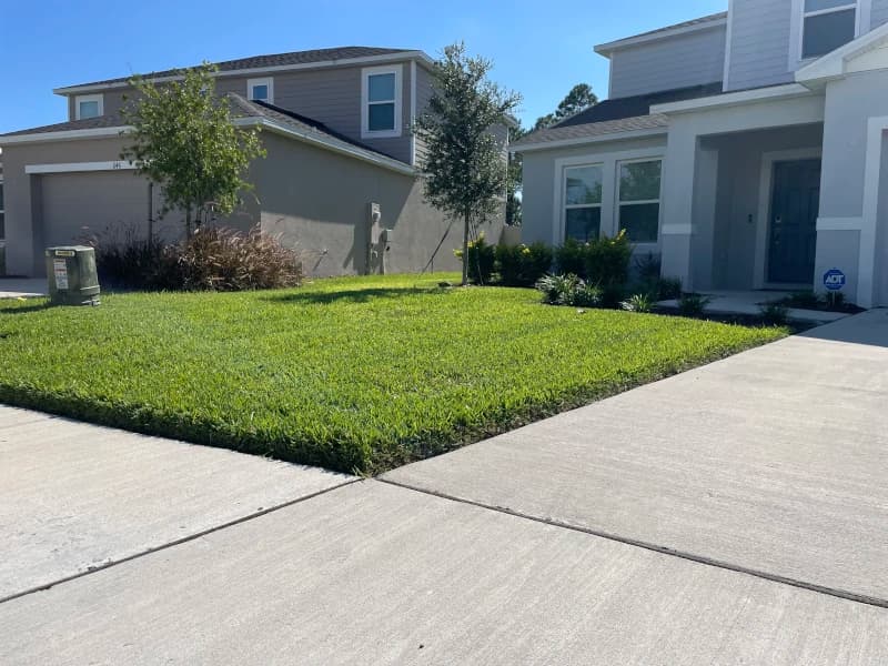 Neatly edged front lawn beside the driveway of a two-story home with young trees