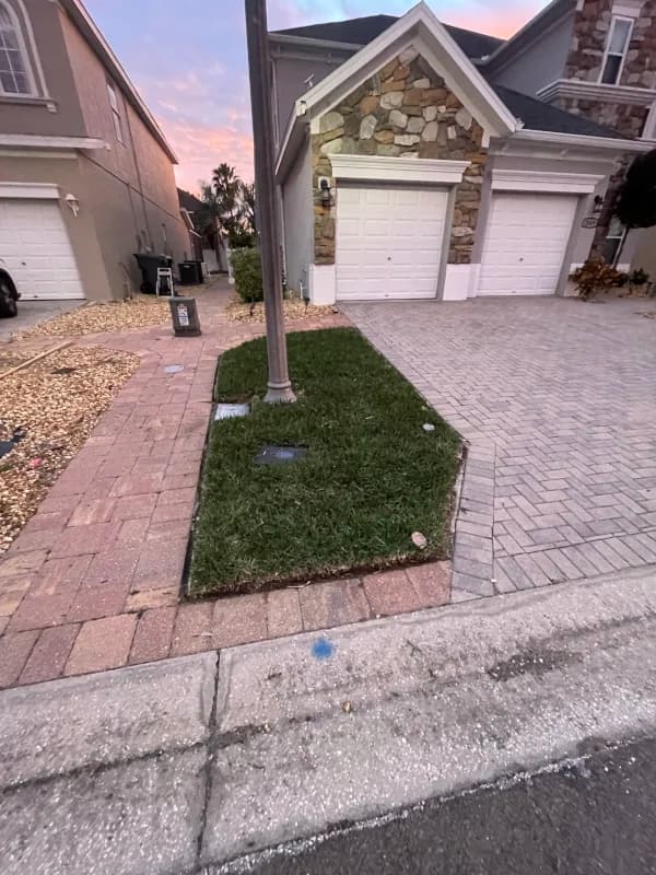 New sod installed in a small bed between two paver driveways at dusk