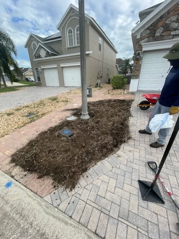Old turf removed and soil prepared for new sod between paver driveways
