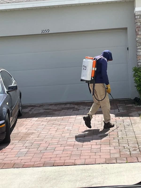 Crew member treating weeds in a paver driveway with a backpack sprayer
