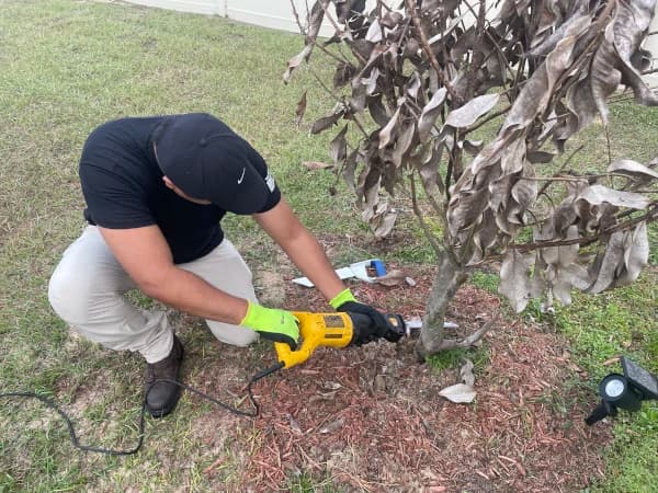 Crew member cutting back a dead tree at the base with a reciprocating saw
