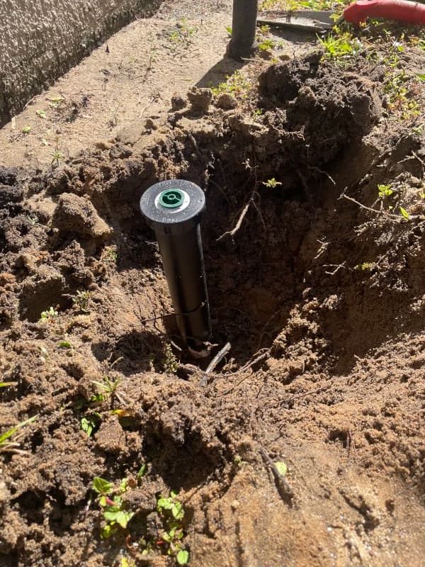 New sprinkler head set level in a freshly dug hole