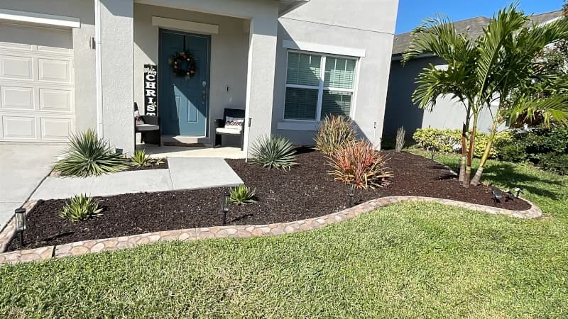 Front bed with black mulch, a young palm and shrubs along the walkway of a single-story home